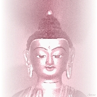 Antik-Buddha_viola-1